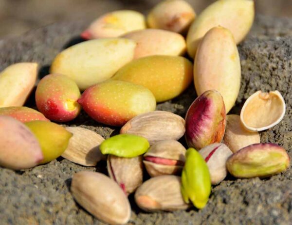 pistacchio di bronte